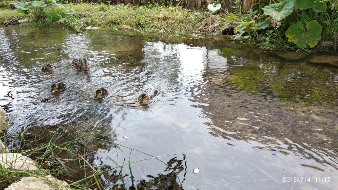 מלון Prijeboj Plitvice Streaming מראה חיצוני תמונה